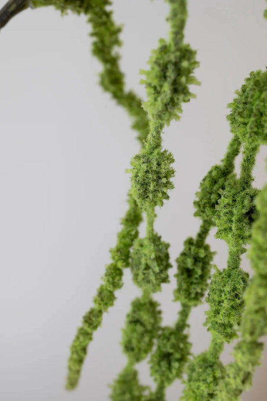Bloom Objects - Artificial Amaranthus 6 Fork 02-179 - Green Dekoration 