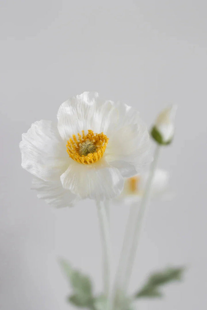 Bloom Objects - Artificial Cream Poppy 02-132 - Cream Dekoration 
